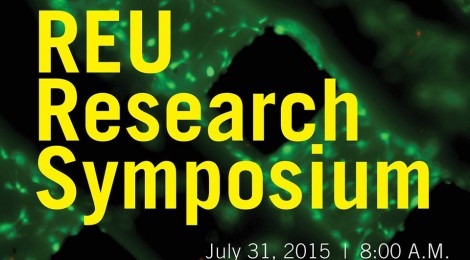 2015 College of Engineering REU Research Symposium